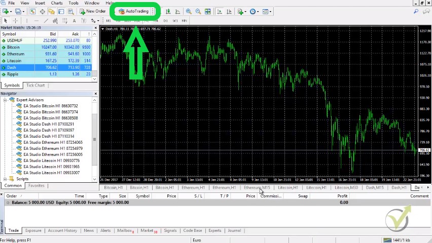 enable the auto trading