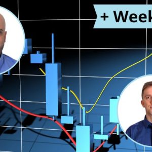 MetaTrader Robots course + 12 Weekly EAs